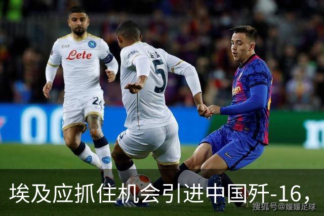 埃及应抓住机会引进中国歼-16，避免重蹈当年失去苏-35的覆辙